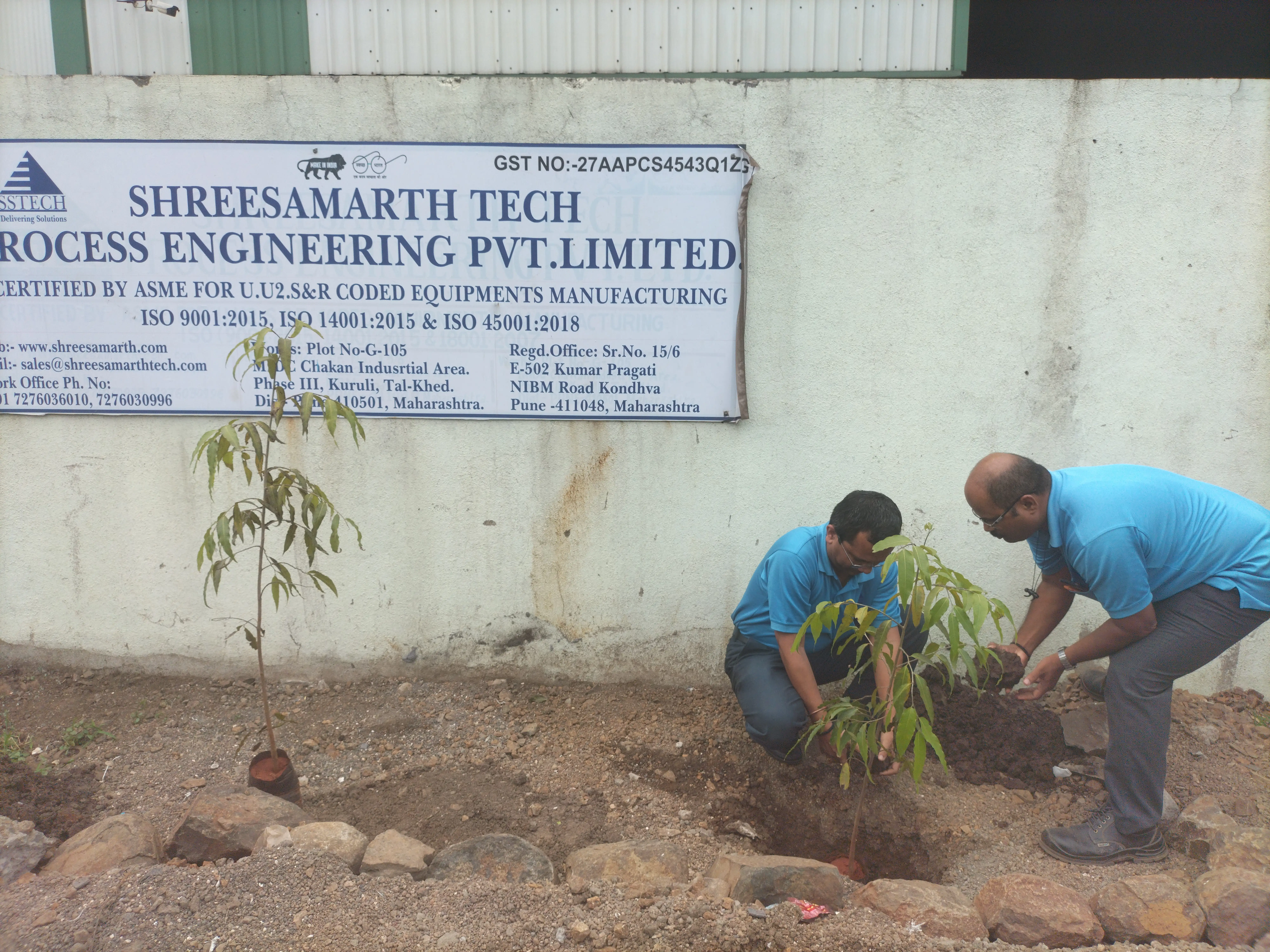 Tree Plantation